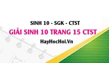 Giải Sinh 10 trang 15 Chân trời sáng tạo SGK